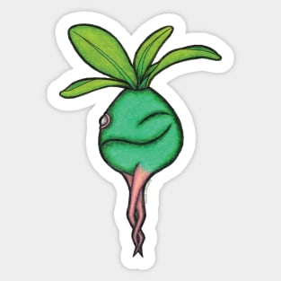 Baby baobab or Pachypodium 2 Sticker